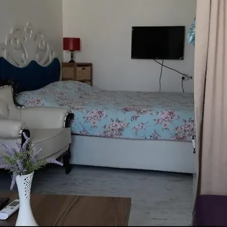 Zuebeyde Hanim Homes * Smirne