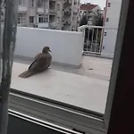 Zuebeyde Hanim Homes Apartment Izmir