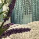 Apartment Zuebeyde Hanim Homes