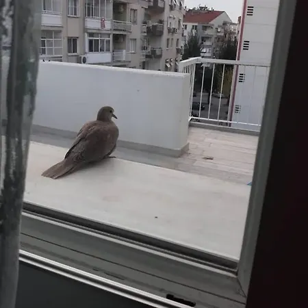 Zuebeyde Hanim Homes Apartamento Esmirna