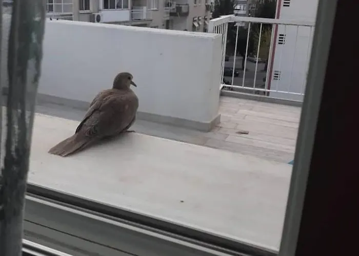 Zuebeyde Hanim Homes Apartment Izmir